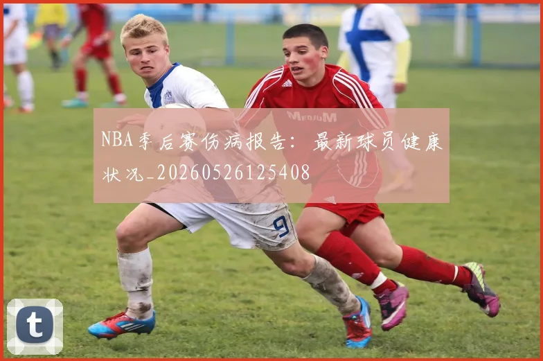 NBA季后赛伤病报告：最新球员健康状况_20260526125408